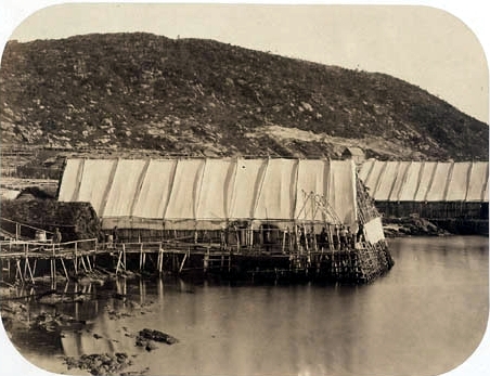 Outside view of fishing stages on the  Petit Nord, 1857-1859. Paul-Émile Miot Collection, Libraries and <br>Archives Canada, PA-202292.