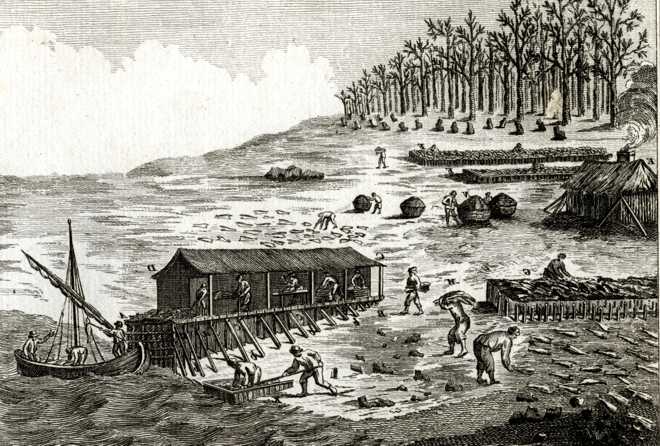 Civilization.ca - Lifelines - The Search for Cod, a Fishing Expedition on  the Saint-André (1754)
