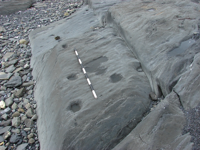 Alignment of small post scars in the foreshore bedrock at White's Point, Noddy Bay (EjAu-47). Although these features cannot be dated and definitively tied to the French fishing room recorded at this site, they suggest the type of features associated with stage areas of fishing rooms.