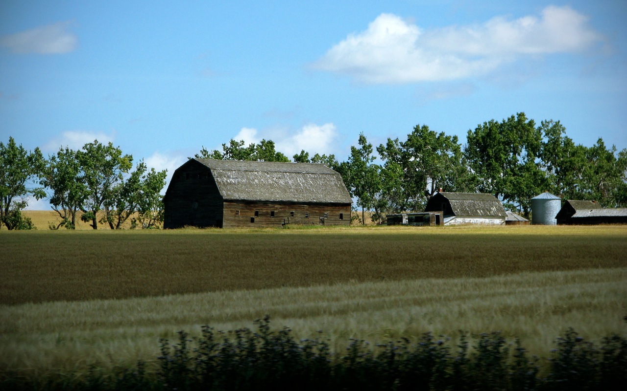 Prairie Environmental Network – NiCHE