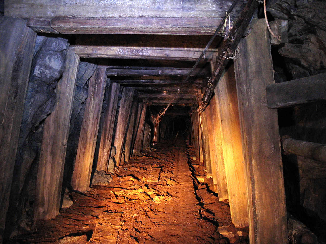 Abandoned Mines Project NiCHE