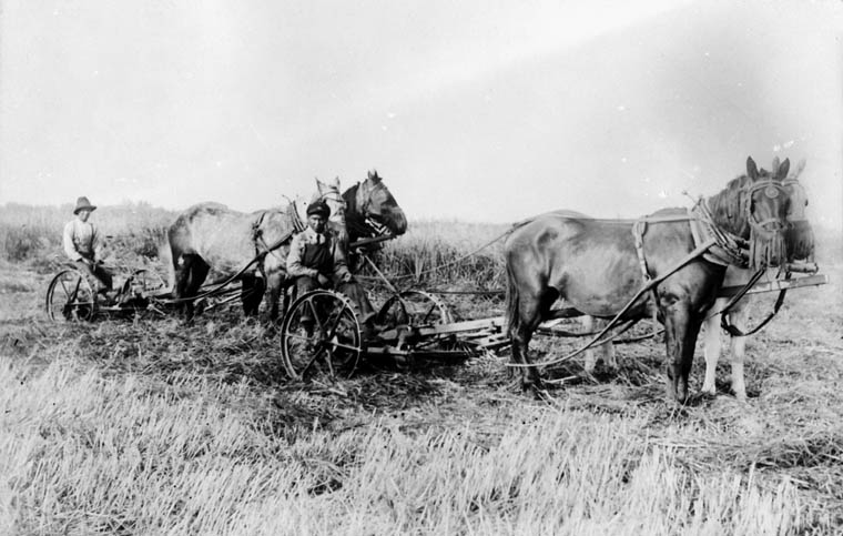 Indian Residential Schools: An Environmental and Gender History – NiCHE