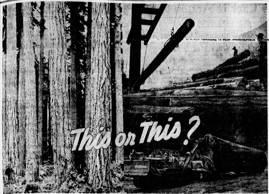 What is the History of Logging Protests in British Columbia? Part Two ...