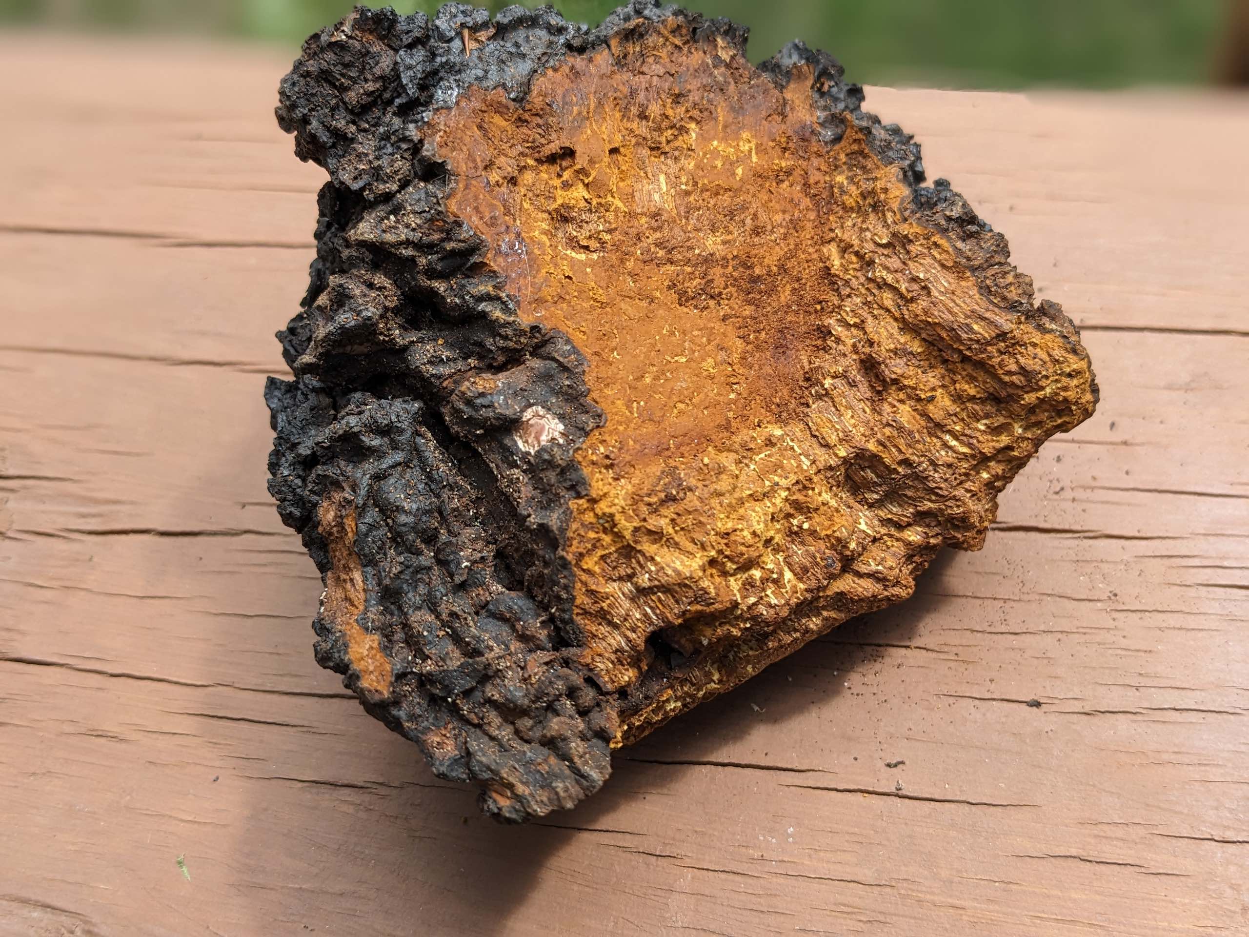 Picking Stories, Selling Chaga: How History Helped Make Chaga a Superfood – NiCHE