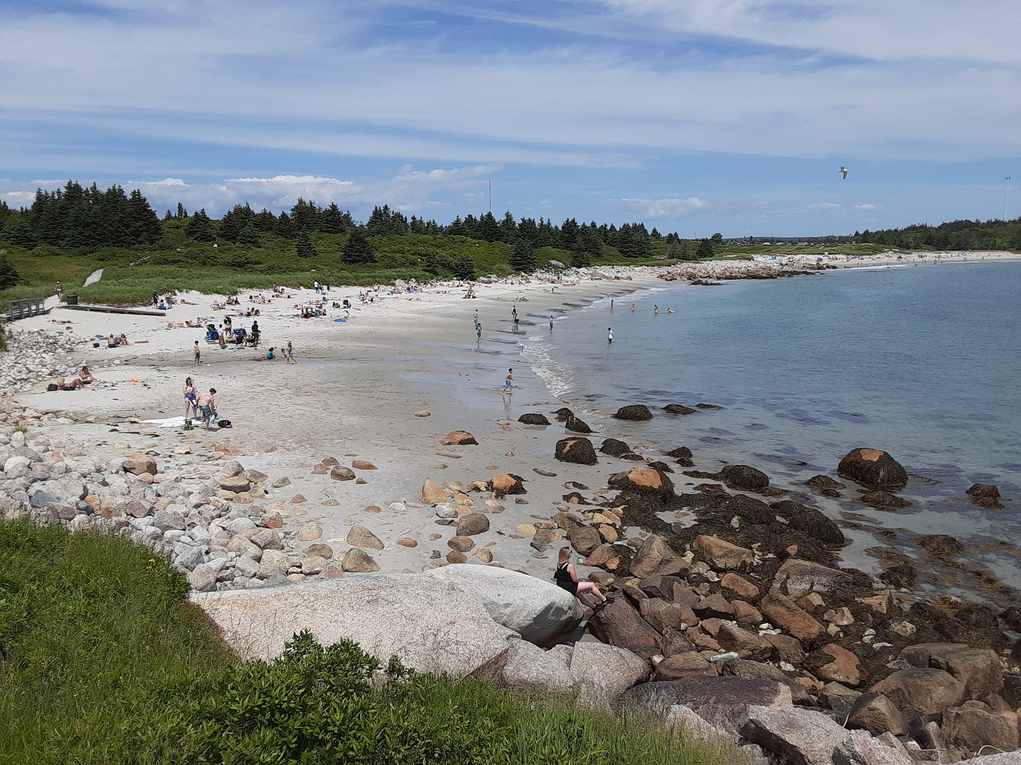 Call For Papers – Northeast and Atlantic Region Environmental History Forum (NEAR-EH) 2026