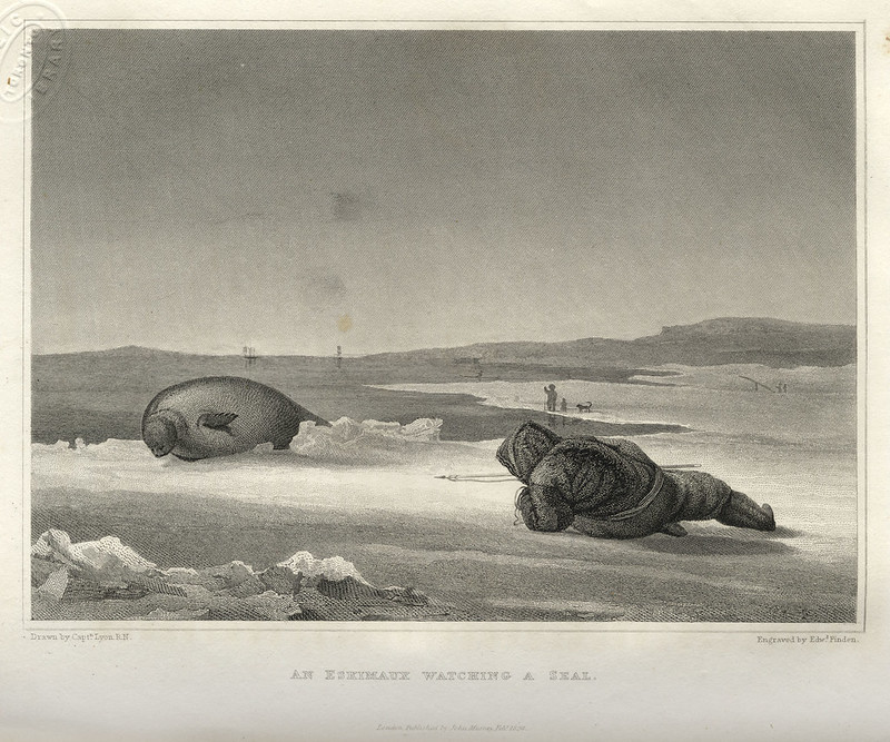 Seals, Stigma, and Survival: An Interview with Danita Catherine Burke