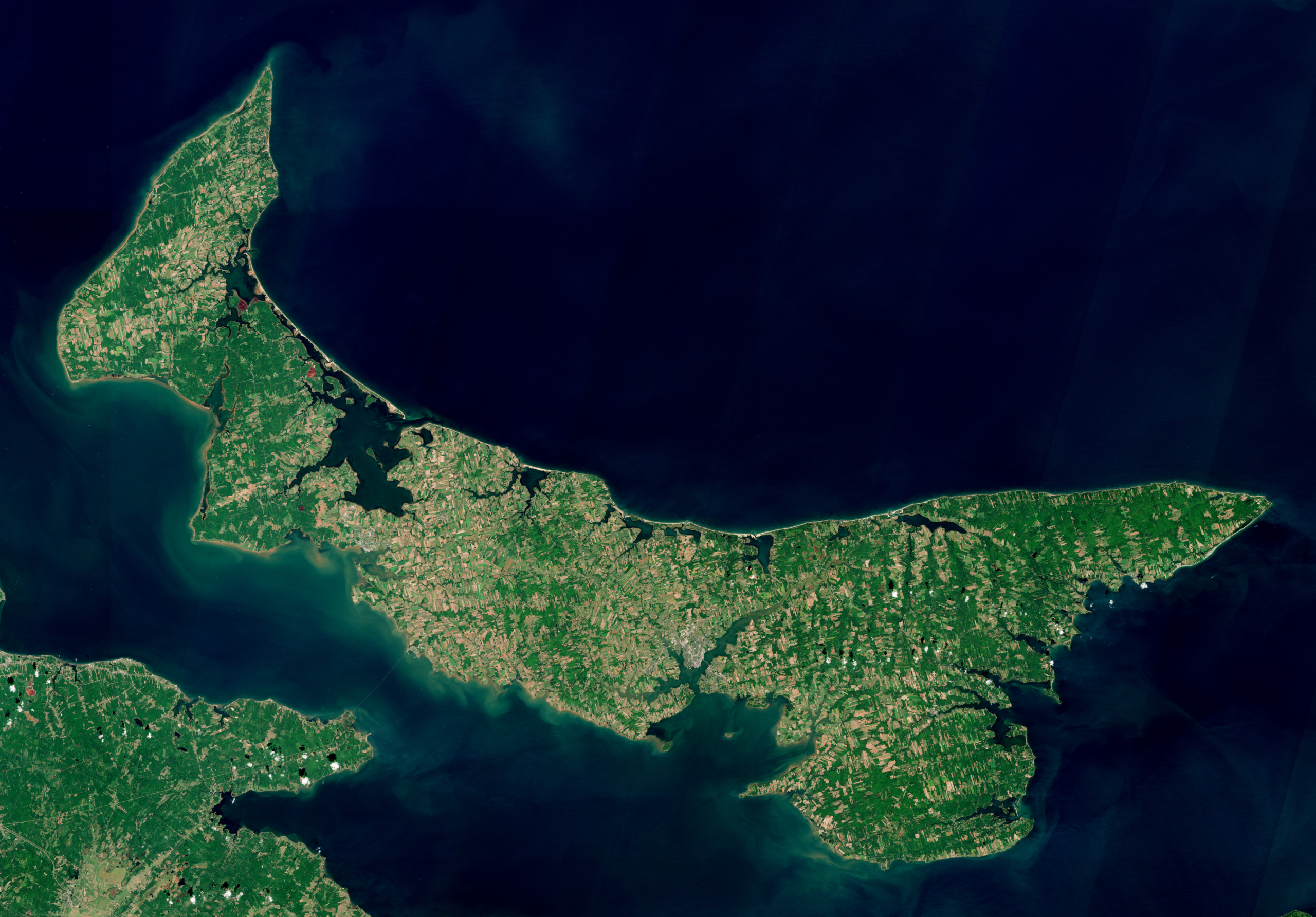 Environmental History at the 2026 Annual Meeting of the Canadian Historical Association
