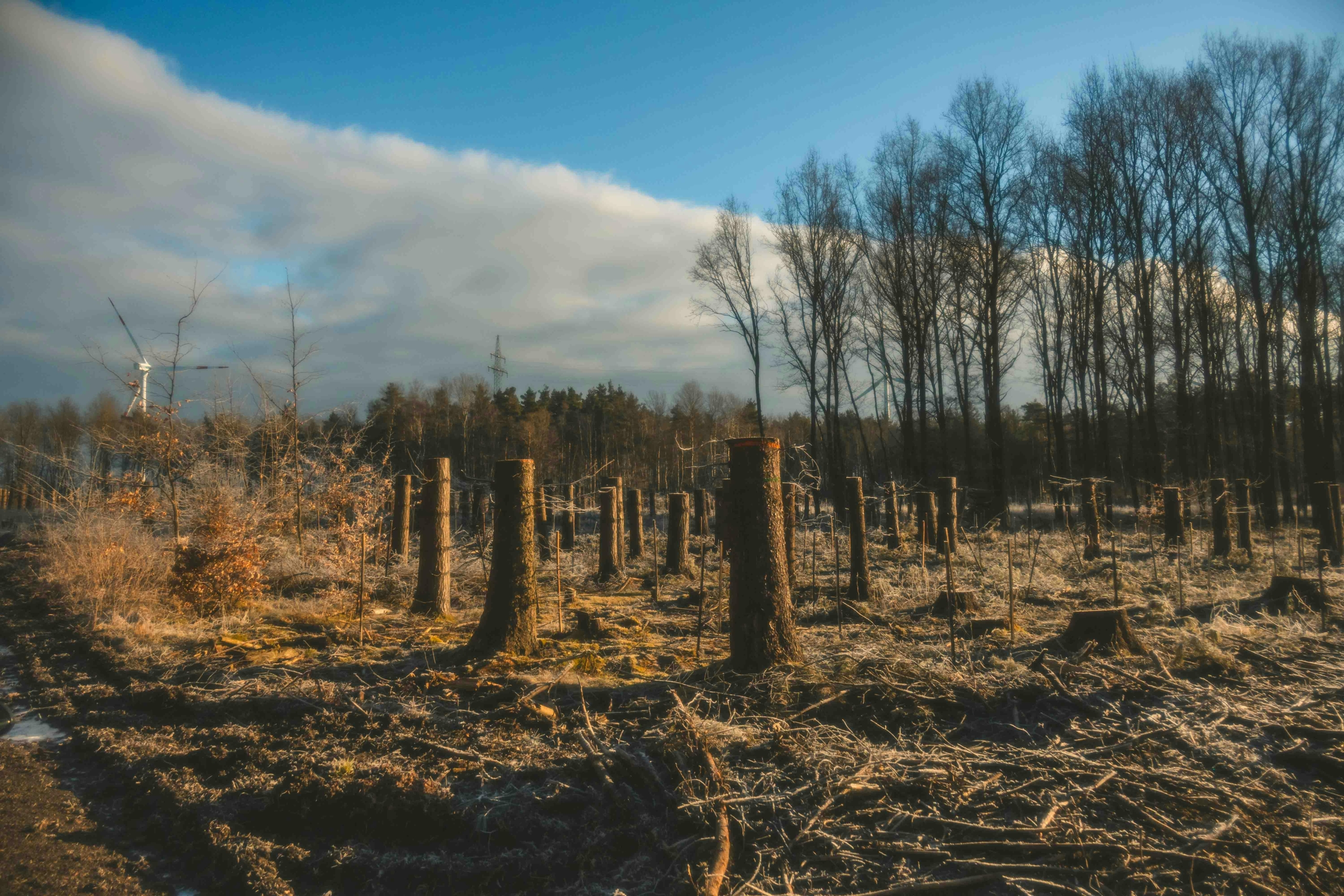 Call for Papers – Canadian Environmental Crime Research Network